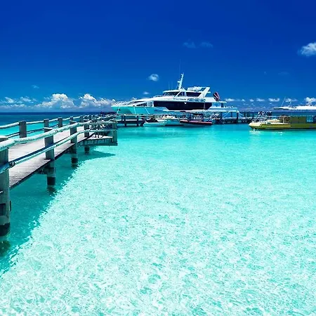Heron Island 