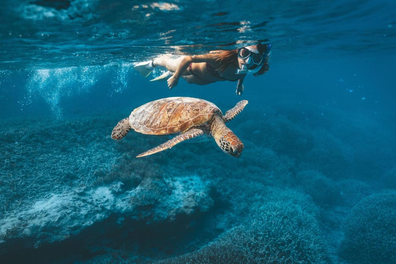 Heron Island 3*