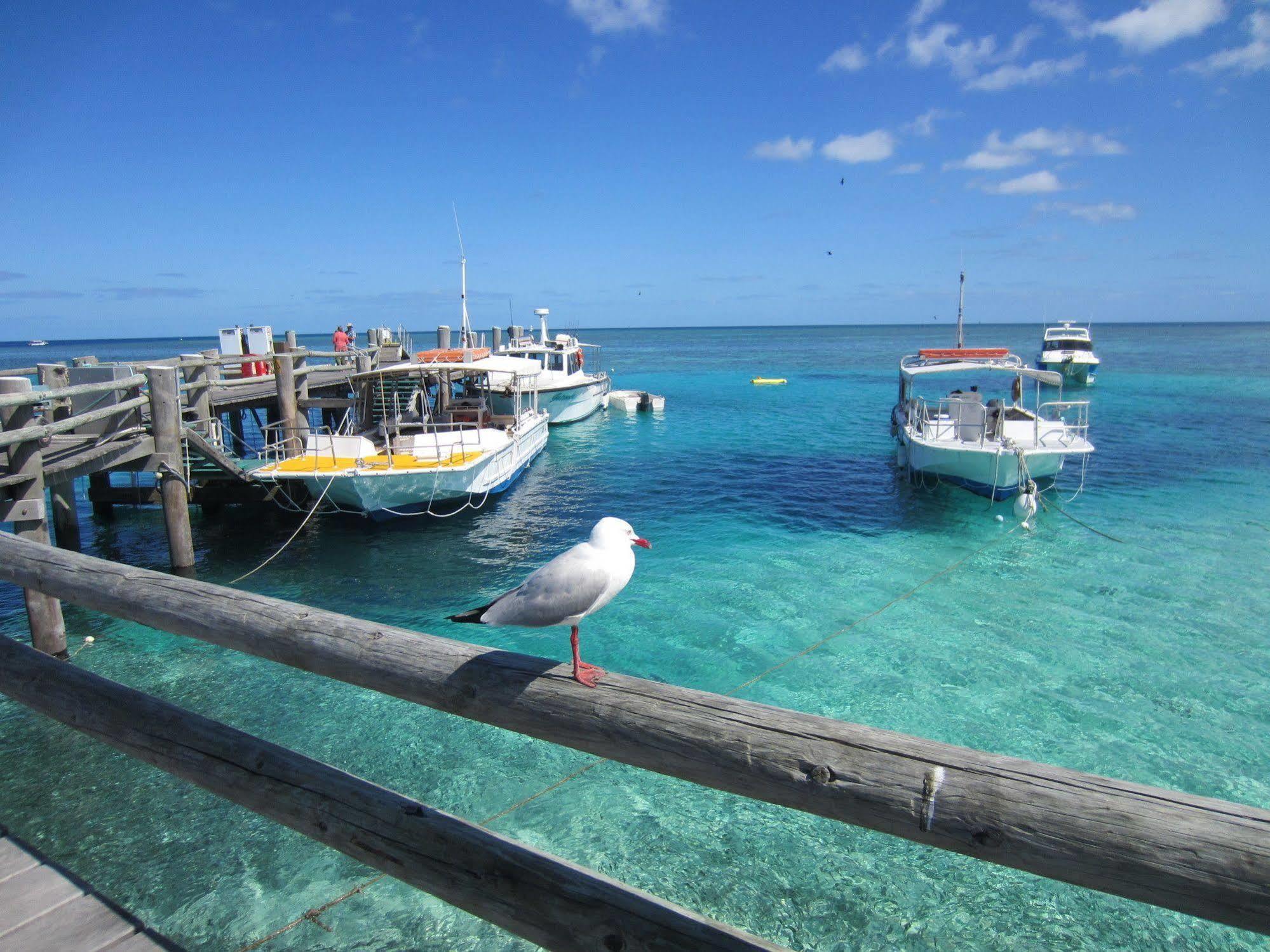 Heron Island Heron Island